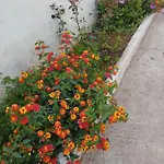 Апартаменты Ksamil Holiday