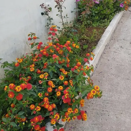 Appartement Ksamil Holiday