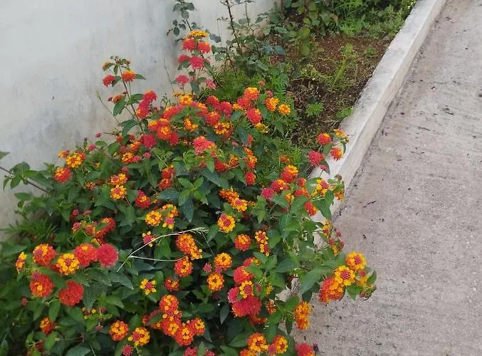 公寓 Ksamil Holiday